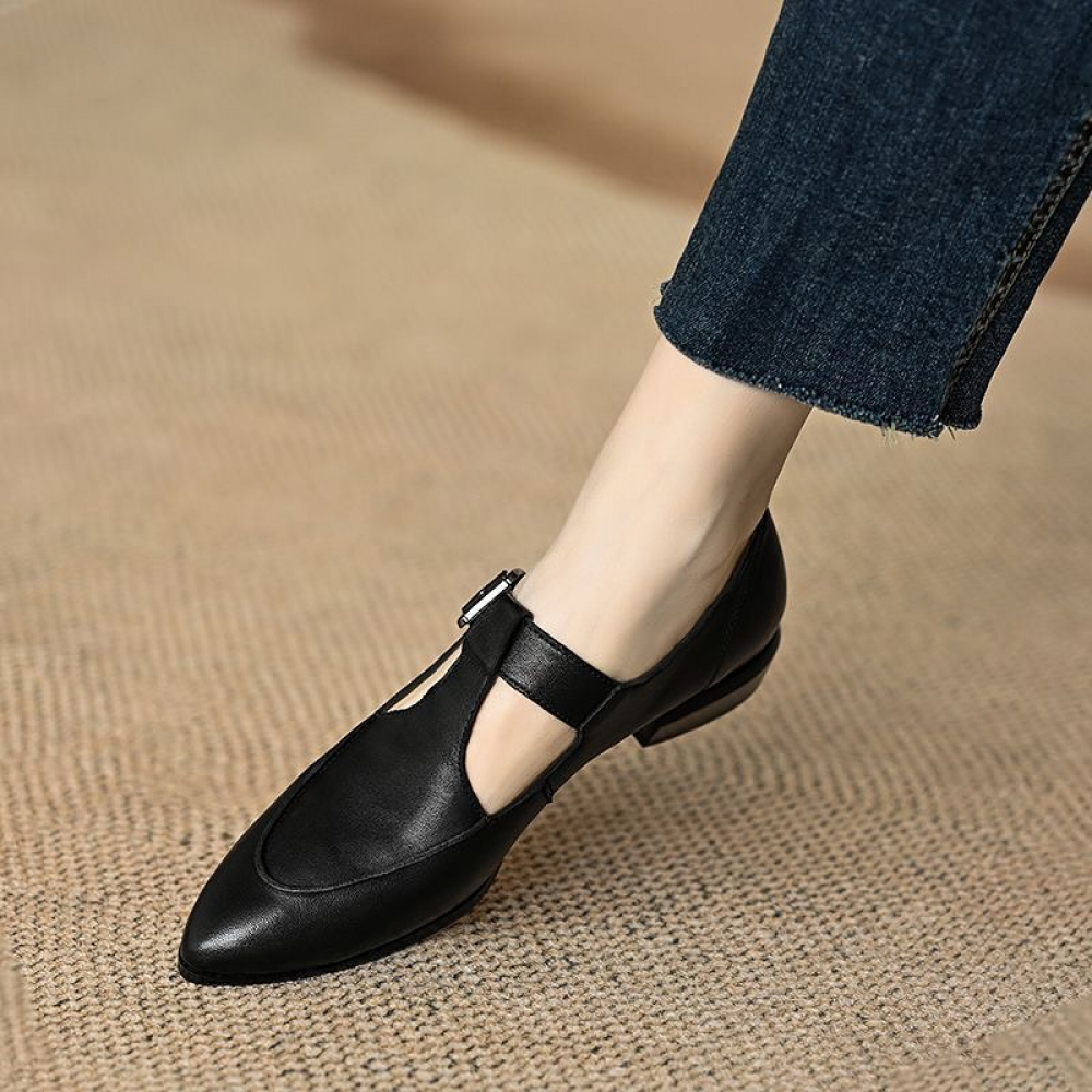 Retro Low Heel Pointed Toe Thick Heel T-strap Mary Jane Shoes