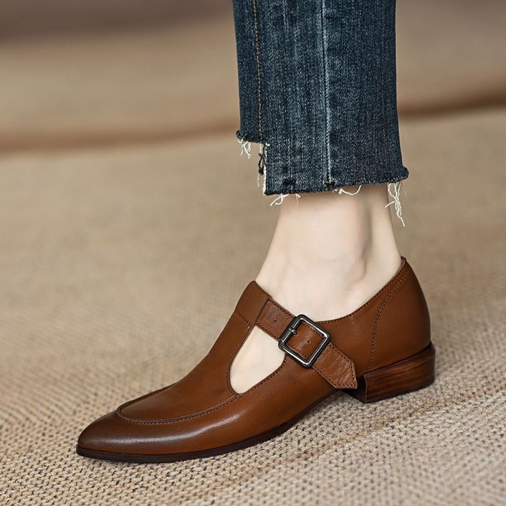 Retro Low Heel Pointed Toe Thick Heel T-strap Mary Jane Shoes