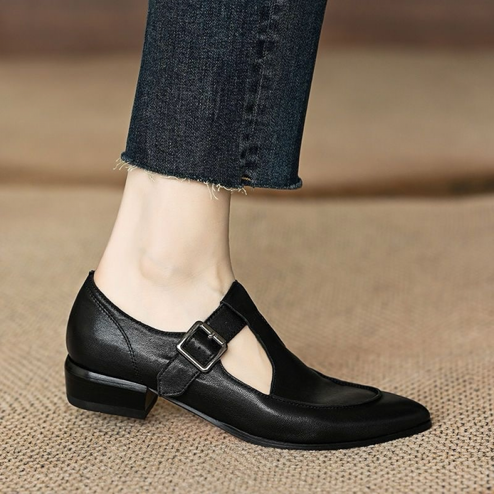 Retro Low Heel Pointed Toe Thick Heel T-strap Mary Jane Shoes