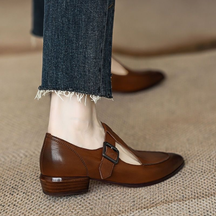 Retro Low Heel Pointed Toe Thick Heel T-strap Mary Jane Shoes