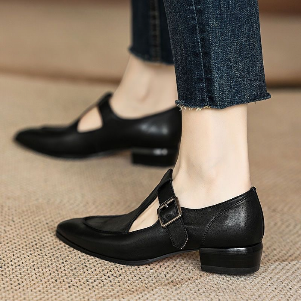 Retro Low Heel Pointed Toe Thick Heel T-strap Mary Jane Shoes